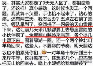 爆料雪莲视频在线观看,在线观看背后的秘密与精彩瞬间